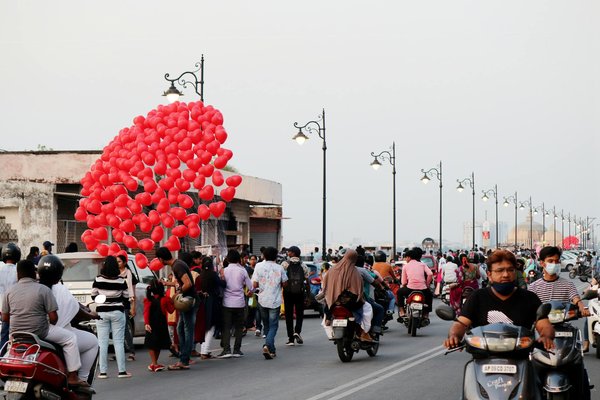 Conseils chien chat poule : harmoniser votre foyer facilement