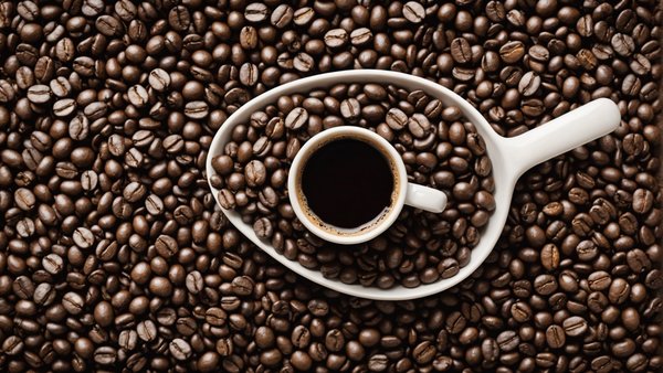 Découvrez plus de 600 références de café en grain